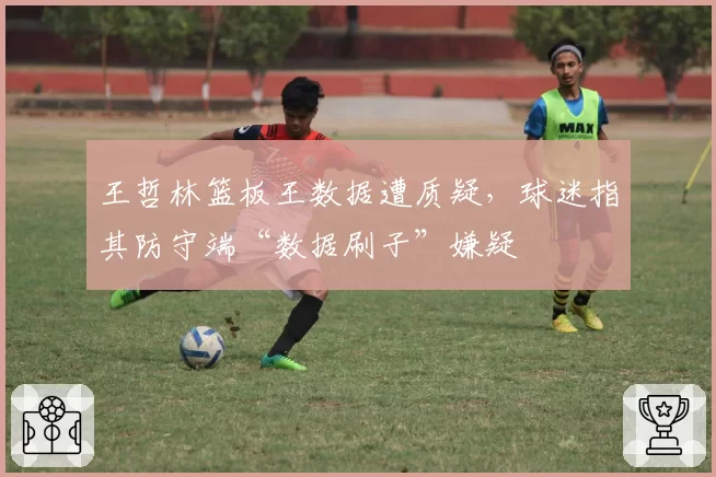 王哲林篮板王数据遭质疑，球迷指其防守端“数据刷子”嫌疑