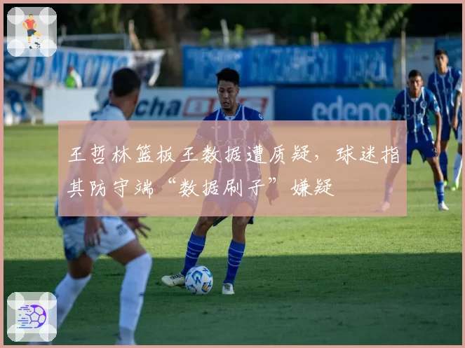 王哲林篮板王数据遭质疑，球迷指其防守端“数据刷子”嫌疑