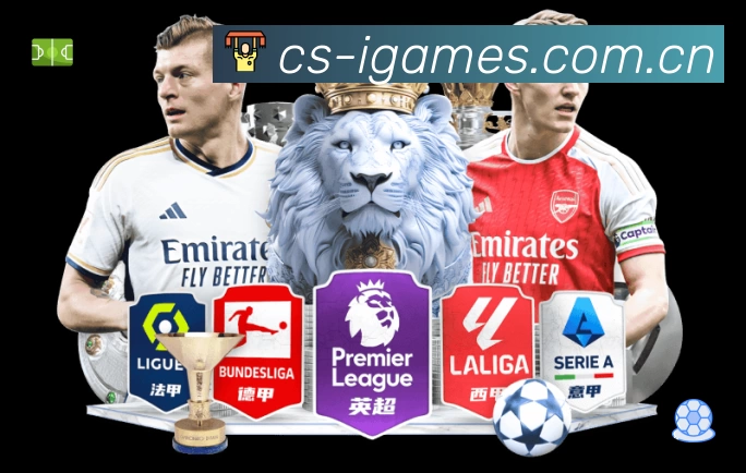 爱游戏平台展示图